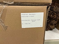 Partij pinus nigra naturel 1kg per net (12x) - afbeelding 4 van  4