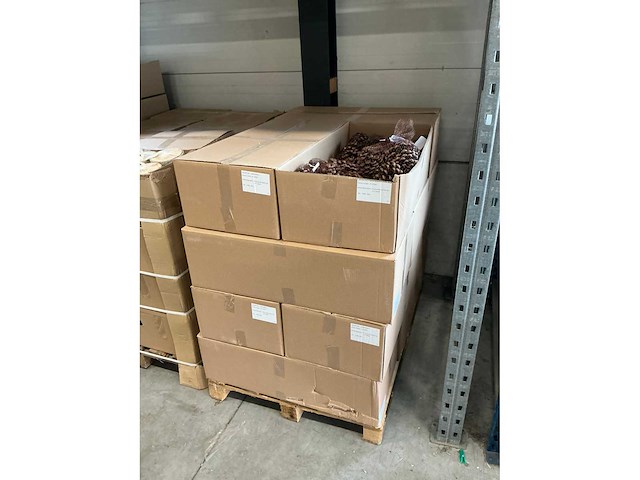 Partij pinus pinea naturel net a 12 stuks (72x) - afbeelding 3 van  4