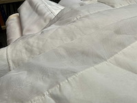 Partij pipe & drape - afbeelding 4 van  13