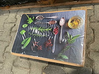 Partij placemat square - kruiden - 43,5 x 28,5 cm (240x) - afbeelding 1 van  3