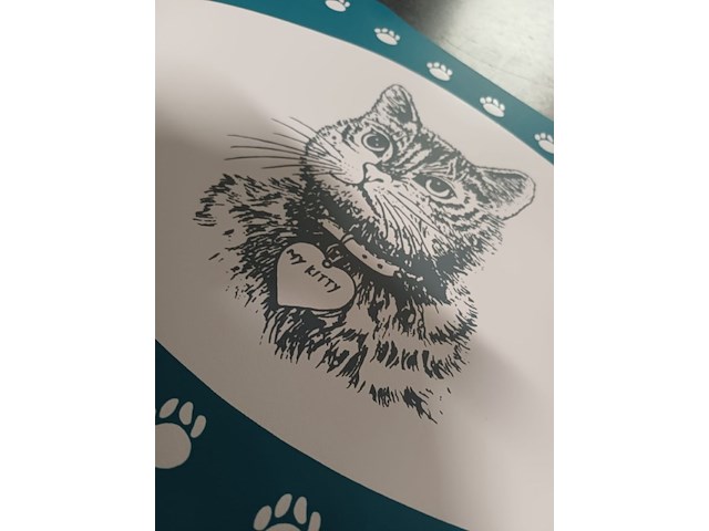 Partij placemats kitty doos a 144 stuks - afbeelding 3 van  5