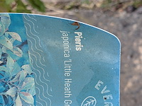 Partij planten en bomen in pot - afbeelding 28 van  43