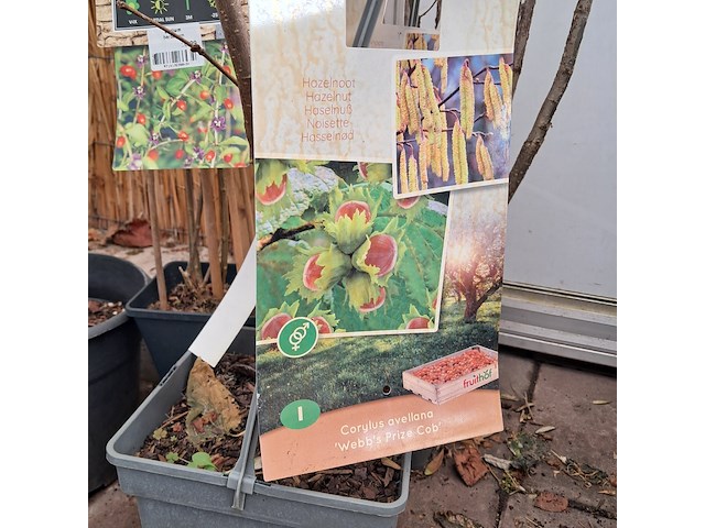 Partij planten en bomen - afbeelding 2 van  22