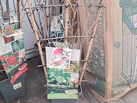 Partij planten en bomen - afbeelding 9 van  22