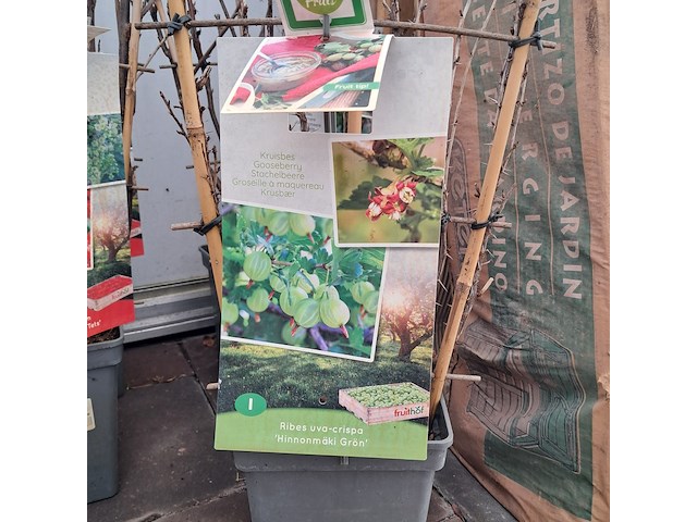 Partij planten en bomen - afbeelding 18 van  22