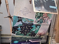 Partij planten en bomen - afbeelding 22 van  22