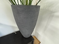 Partij planten in pot - afbeelding 5 van  8