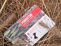 Partij planten kwekerij van diepen, pennisetum - afbeelding 6 van  9