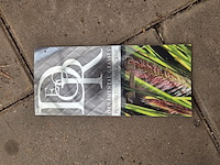 Partij planten - afbeelding 4 van  7