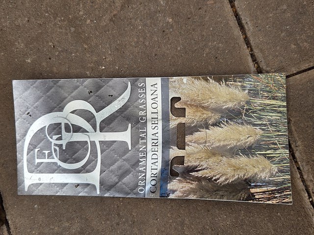 Partij planten - afbeelding 5 van  7