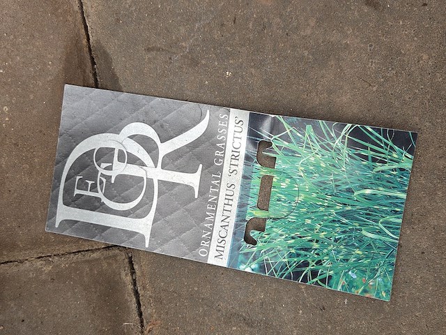 Partij planten - afbeelding 7 van  7