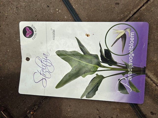 Partij planten - afbeelding 7 van  9