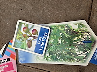 Partij planten - afbeelding 8 van  9