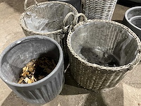 Partij plantenbakken en manden - afbeelding 3 van  4