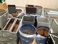 Partij plantenbakken - afbeelding 10 van  12