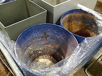 Partij plantenbakken - afbeelding 12 van  12