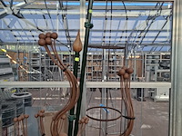 Partij plantensteunen en toebehoren o.a. peacock - afbeelding 50 van  55