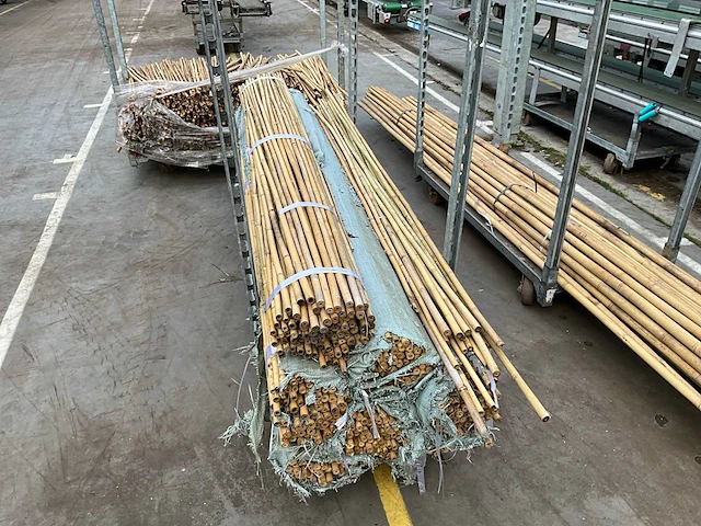 Partij plantstokken - afbeelding 2 van  4