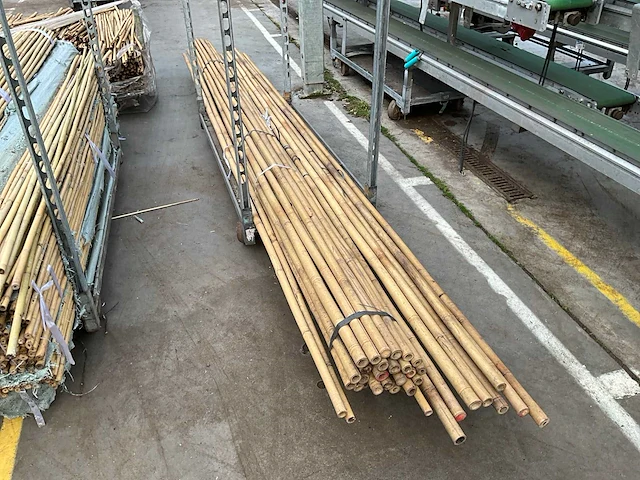 Partij plantstokken - afbeelding 3 van  4