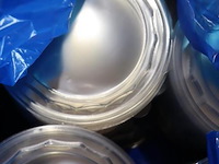Partij plastic deksels & 3-vaks ronde voedselschaaltjes - afbeelding 6 van  7