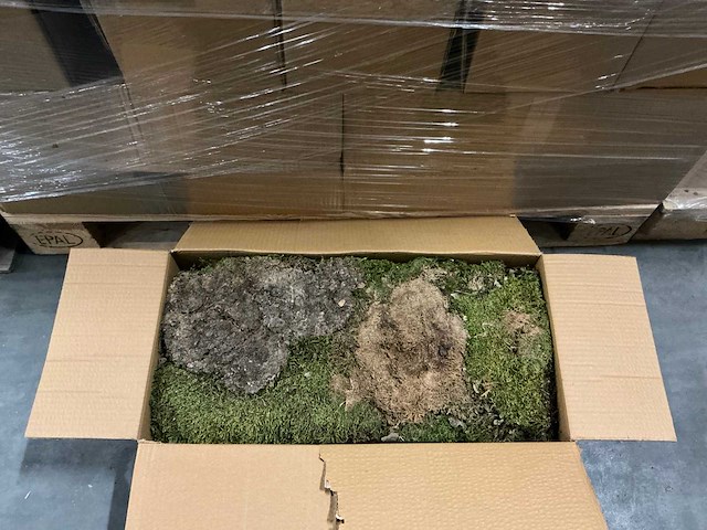 Partij platmos 2kg per doos (39x) - afbeelding 1 van  5