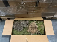 Partij platmos 2kg per doos (39x) - afbeelding 1 van  5