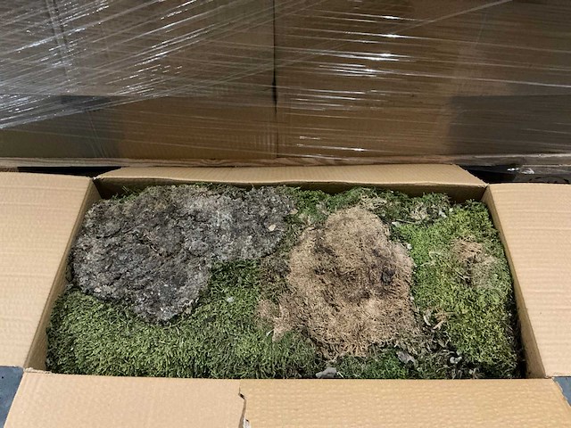 Partij platmos 2kg per doos (39x) - afbeelding 4 van  5