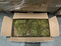 Partij platmos 2kg per doos (39x) - afbeelding 1 van  4