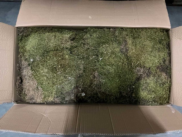 Partij platmos 2kg per doos (39x) - afbeelding 3 van  4