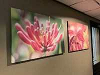 Partij poster en decoratie