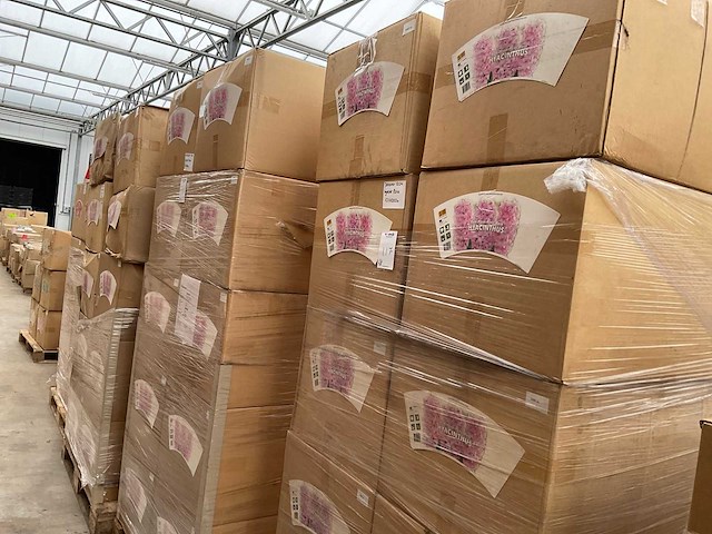 Partij potcovers (ca. 55.900x) - afbeelding 2 van  11