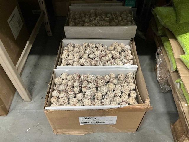 Partij pubescens 10cm wire white wash (1000x) - afbeelding 1 van  4