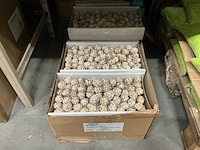 Partij pubescens 10cm wire white wash (1000x) - afbeelding 1 van  4