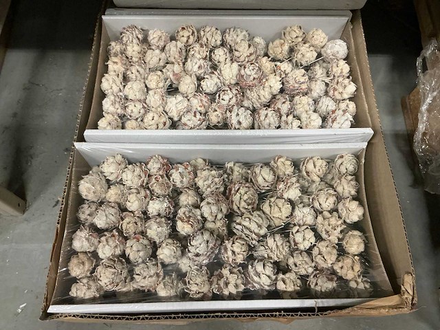 Partij pubescens 10cm wire white wash (1000x) - afbeelding 2 van  4