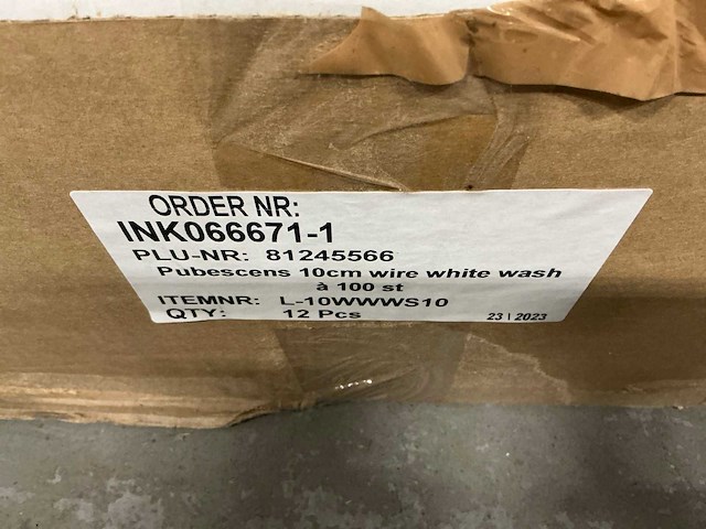 Partij pubescens 10cm wire white wash (1000x) - afbeelding 3 van  4