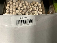 Partij pubescens 10cm wire white wash (1000x) - afbeelding 4 van  4