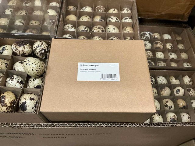 Partij quaileggs real natural (3600x) - afbeelding 3 van  3