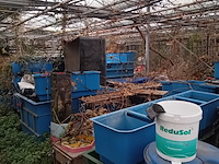 Partij quarentainebakken t.b.v. vijver installatie - afbeelding 1 van  14