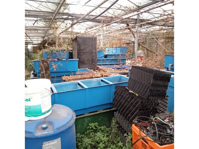 Partij quarentainebakken t.b.v. vijver installatie - afbeelding 7 van  14