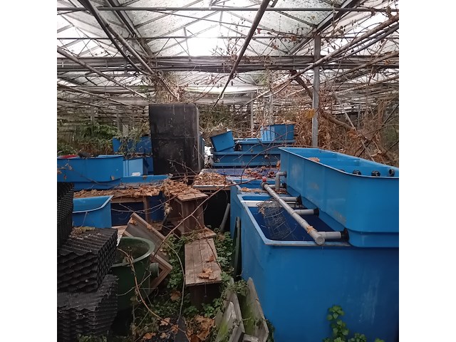 Partij quarentainebakken t.b.v. vijver installatie - afbeelding 8 van  14