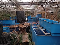 Partij quarentainebakken t.b.v. vijver installatie - afbeelding 8 van  14