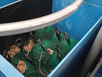 Partij quarentainebakken t.b.v. vijver installatie - afbeelding 11 van  14