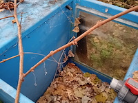 Partij quarentainebakken t.b.v. vijver installatie - afbeelding 14 van  14