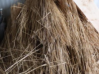 Partij riet - afbeelding 1 van  4