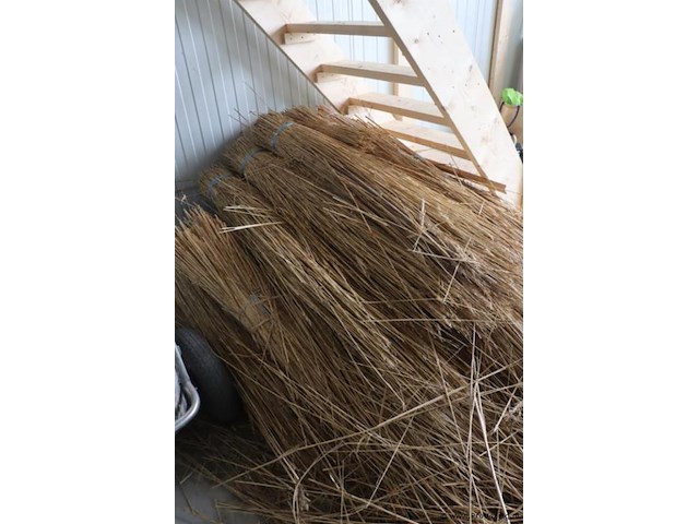 Partij riet - afbeelding 2 van  4