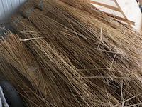 Partij riet - afbeelding 2 van  4