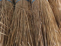 Partij riet - afbeelding 3 van  4