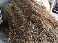 Partij riet - afbeelding 4 van  4