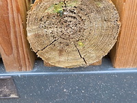 Partij ronde gefreesde palen - afbeelding 4 van  6