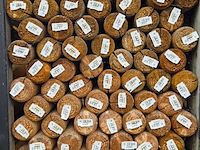 Partij ronde tuinpalen - afbeelding 4 van  6